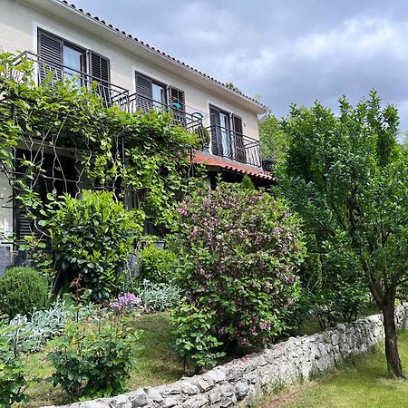 Apartment Vista Lupoglav  Εξωτερικό φωτογραφία
