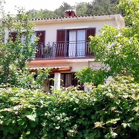 Apartment Vista Lupoglav  Δωμάτιο φωτογραφία