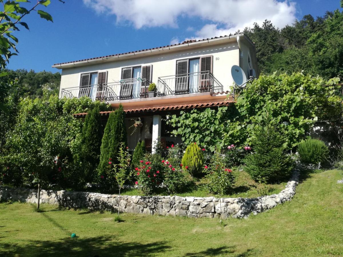 Apartment Vista Lupoglav  Εξωτερικό φωτογραφία