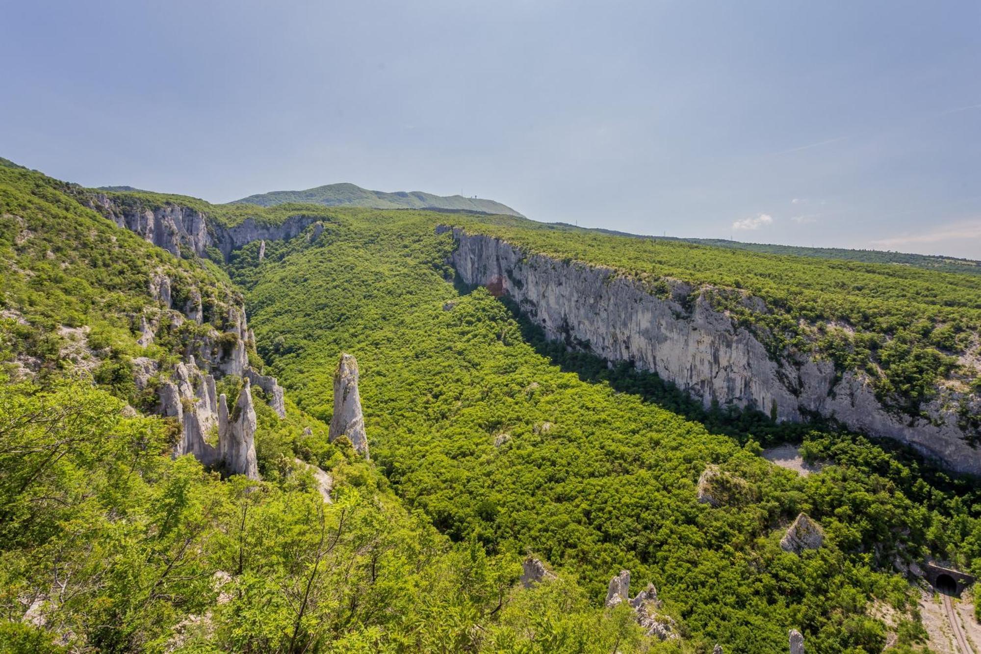 Apartment Vista Lupoglav  Εξωτερικό φωτογραφία