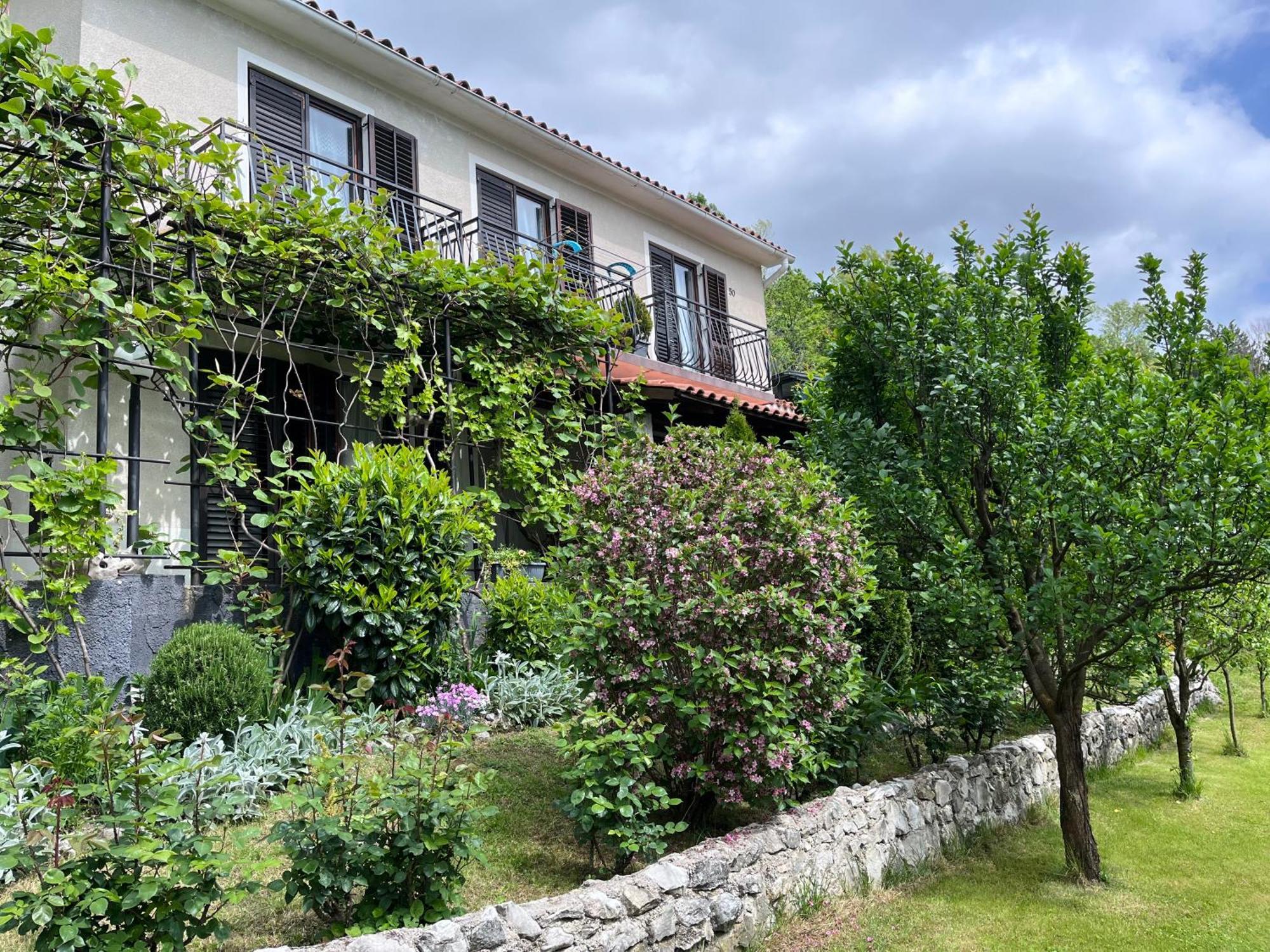 Apartment Vista Lupoglav  Εξωτερικό φωτογραφία