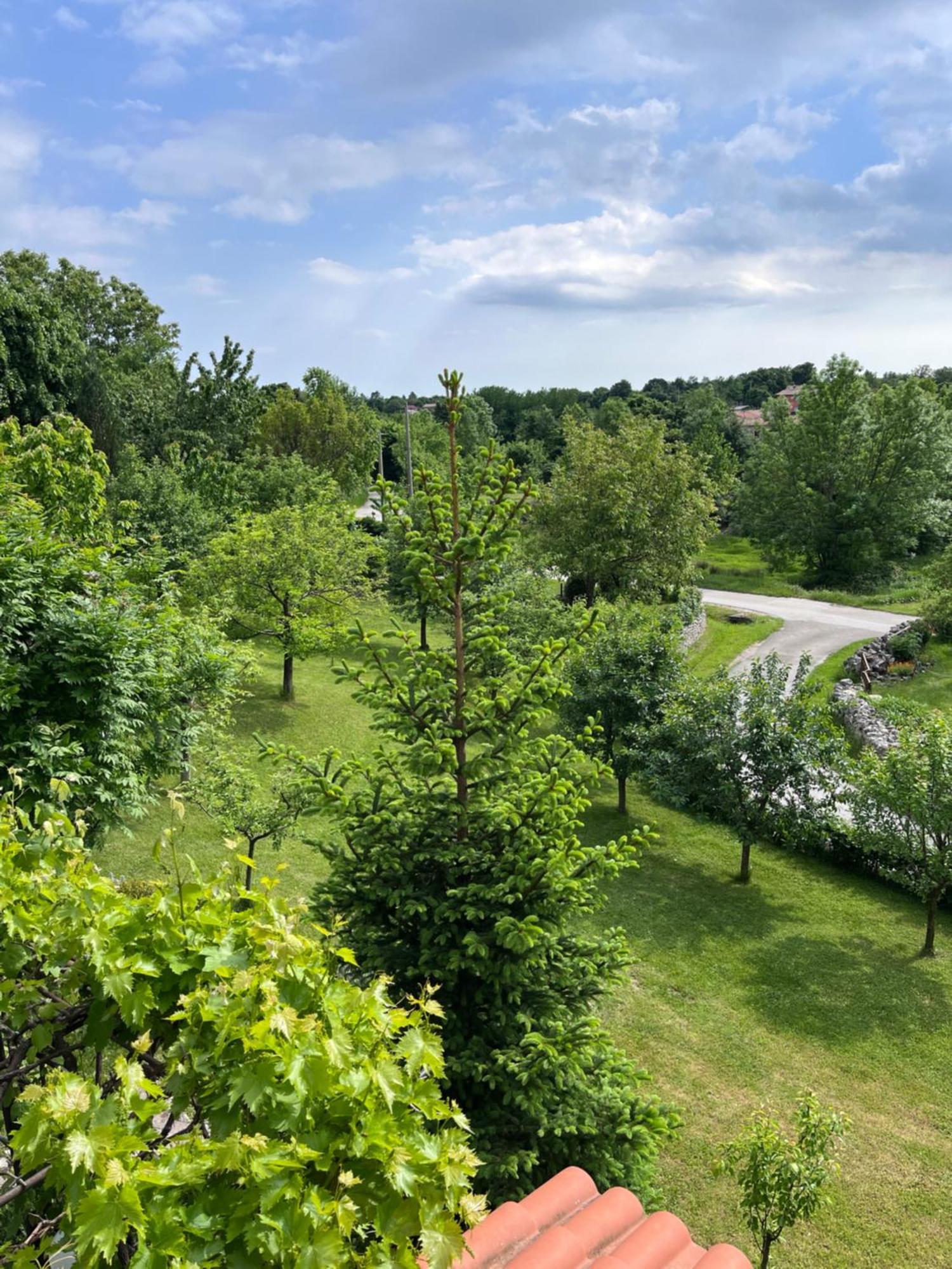 Apartment Vista Lupoglav  Εξωτερικό φωτογραφία