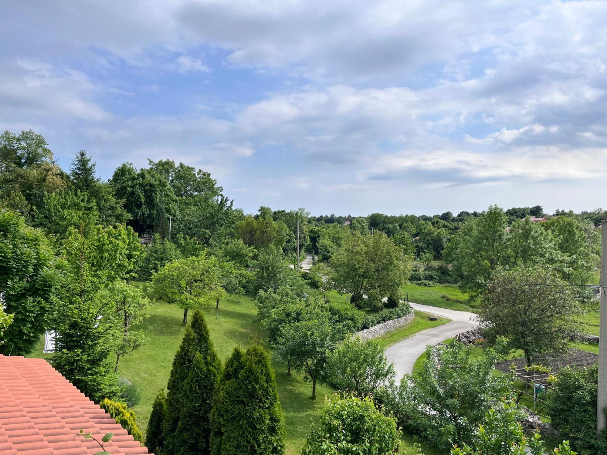 Apartment Vista Lupoglav  Εξωτερικό φωτογραφία