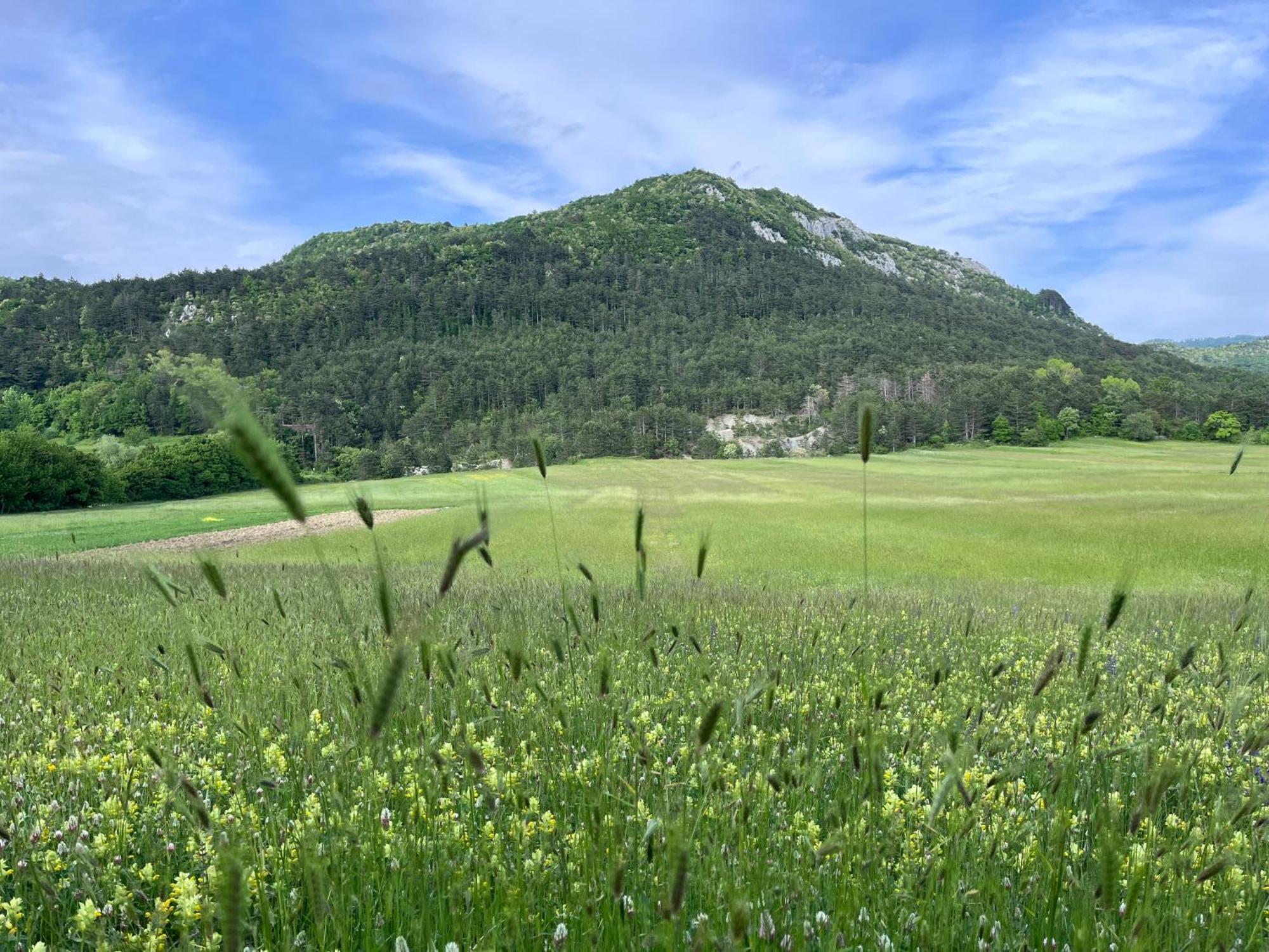 Apartment Vista Lupoglav  Εξωτερικό φωτογραφία