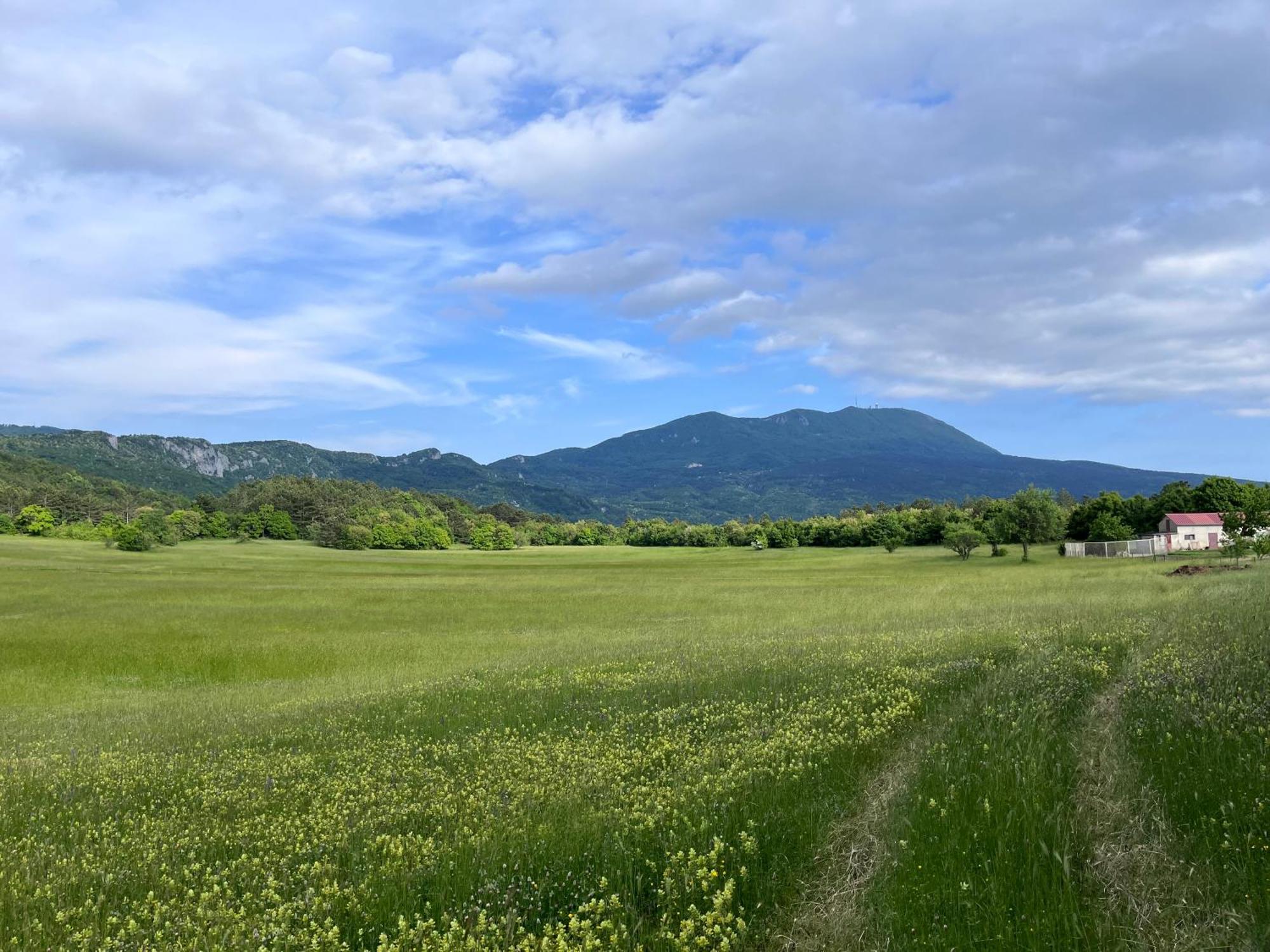 Apartment Vista Lupoglav  Εξωτερικό φωτογραφία